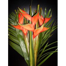 Exotic Bouquets - Heliconia Bouquet